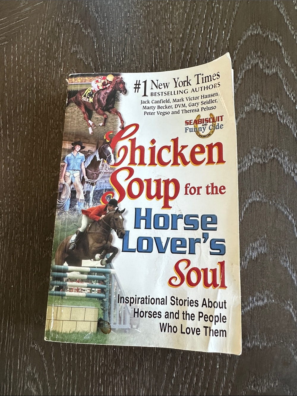 Chicken Soup for the Horse Lover’s Soul!